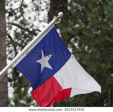 State flag of Texas with the tip folded in the wind