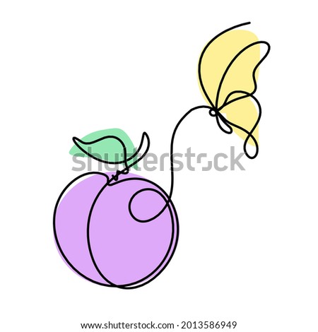 Drawing line apricot (peach, nectarine, plum) with butterfly on the white background. Vector