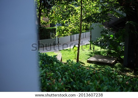 Green garden from window view