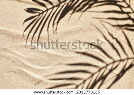 Sand texture. Sandy beach with palm shadow for product background. Top view Royalty-Free Stock Photo #2013773165