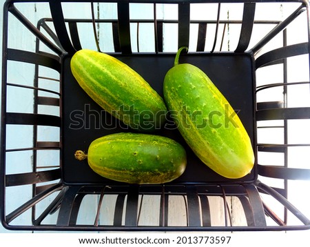 overripe cucumbers on a black metal stand