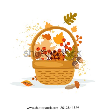 Basket with autumn leaves, berries, mushrooms, acorns, oak and maple leaves. Leaf fall. Traditional attributes of the autumn season. Vector illustration
