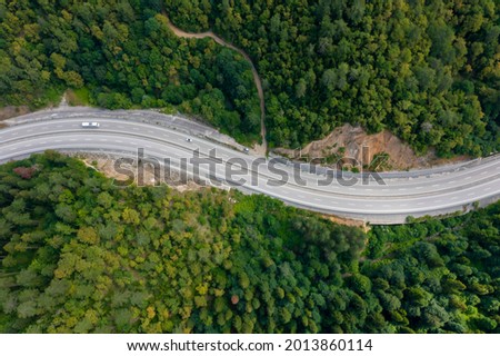 a road in the black sea forests
