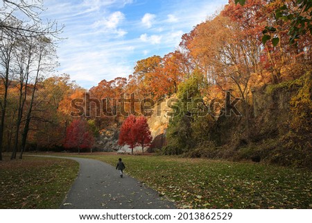 The rock climbing wall at Alapocas Run State Park, Wilmington, Delaware, USA in the colorful fall Royalty-Free Stock Photo #2013862529