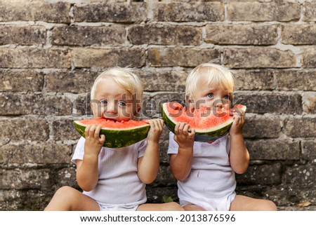 Babies and watermelon. Twins in white bodysuits for children with beautiful blue eyes and blonde hair sit on the floor and enjoy watermelon. Funny picture of twins enjoying a healthy snack