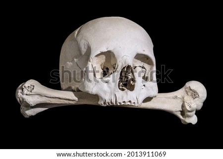 Human skull with bones on black background