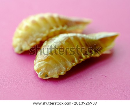Cymothoa exigua, or the tongue-eating louse, is a parasitic isopod of the family Cymothoidae.