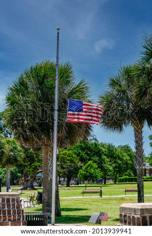 Flag Half Mast in a Tropical Park