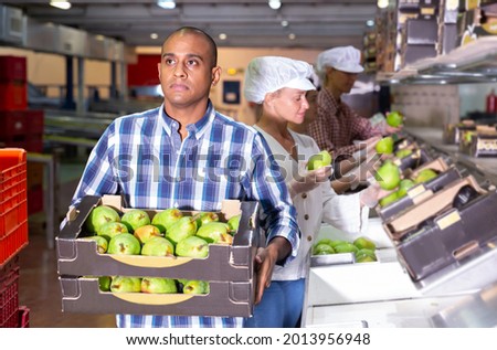 Skilled man worker working at fruit packing facility carrying box with pears