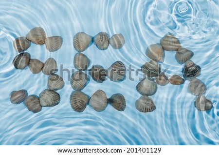 Word sea made Ã?Â¢??Ã?Â¢??seashells in water, can be used as background