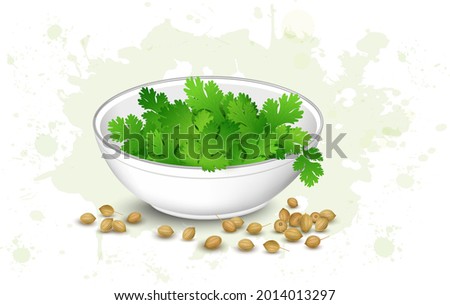 A bowl of green coriander leaves with coriander seeds vector illustration Royalty-Free Stock Photo #2014013297