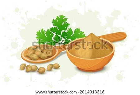 Coriander Seeds and coriander spice powder with green coriander leaves vector illustration Royalty-Free Stock Photo #2014013318