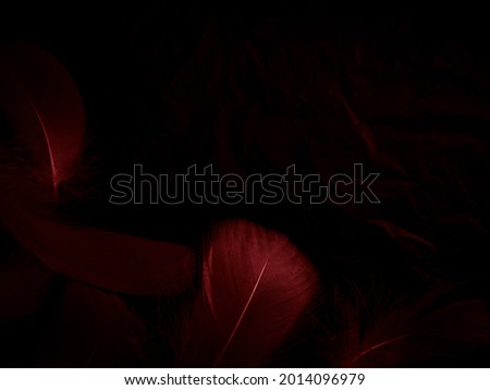 Beautiful abstract red feathers on black background, yellow feather texture on colorful pattern and red background, orange feather wallpaper, love theme, wedding valentines day, red gradient