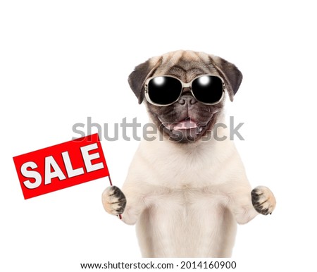 Pug puppy wearing sunglasses holds sales symbol. isolated on white background