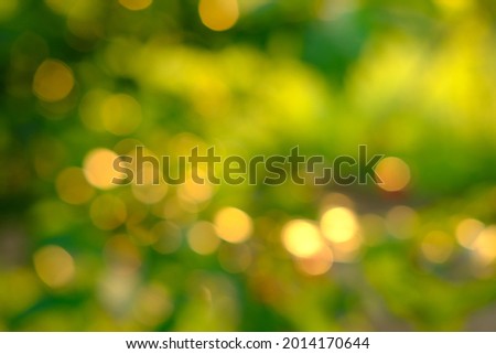 Nature abstract green and yellow gold bokeh blurred background,Sunlight shining to the leaves under the tree.Beautiful nature bokeh background of blurry sunset landscape and defocused round particles
