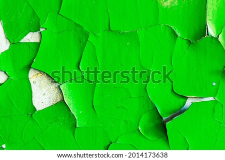 wall with green paint. background for design. grunge texture. High quality photo