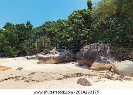 Rocks on a beach against trees and a sky by spring day
