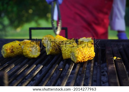 baked corn. pieces of grilled corn. organic product.