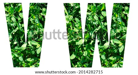 English alphabet letters set. Letters V W from green grass isolated on white background. Elements for your design.