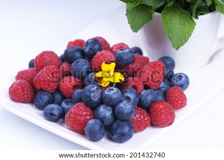 Mint and berries