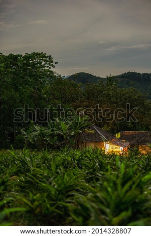 A small house between the forest on the hill at dawn
