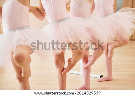 Little ballerinas preparing for performance by practicing dance moves.
