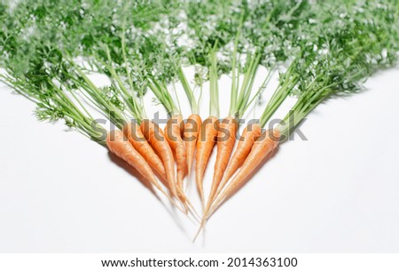 Close-up picture of freshness small carrots on white.