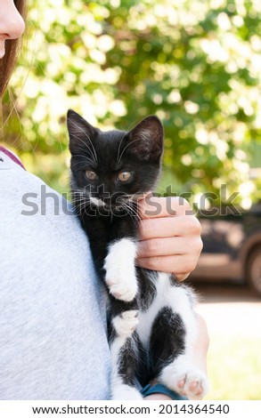 partial view of woman holding adorable black with white cat in the garden in front of trees