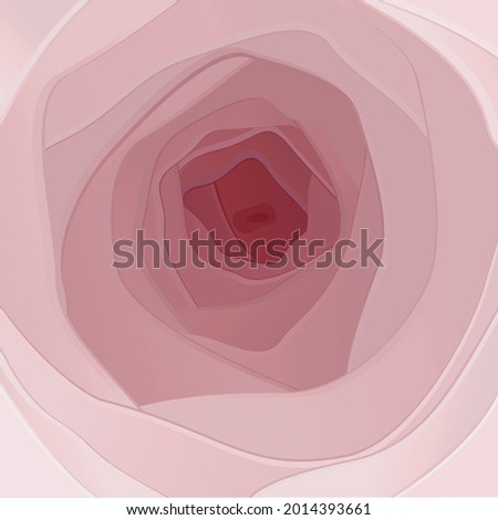 delicate pink abstraction, many layers, resembles a rose