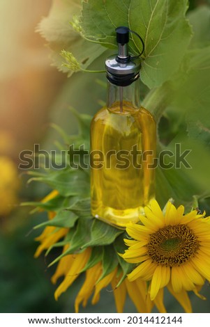 A beautiful glass bottle with golden natural sunflower oil stands on a sunflower flower in a field in nature. Vertical format. Copyspace