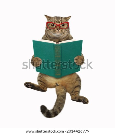 A beige cat in glasses sits and reads a green book. White background. Isolated.
