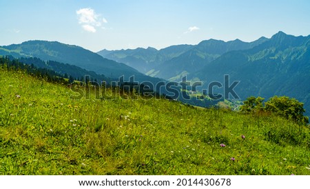 panoramic view from the flowered colored alpine meadow to the valley of Rhine with the Austrian and Swiss mountains in background. alpine pastures and forests under the blue summer sky with clouds