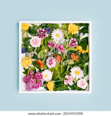 White wooden frame full of flowers.top view mockup with copy space.