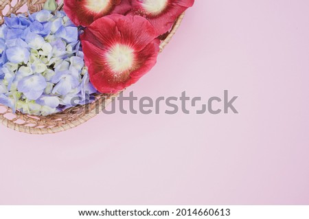 The fresh hydrangeas and Shirly poppy flowers on a wicker basket isolated on light cream background