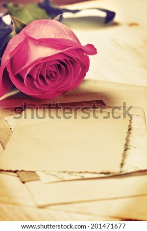 vintage picture with a pink rose and old photographs  (toning)
