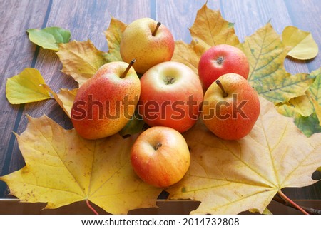 red and yellow apples on autumn leaves on wooden background, with copyspace