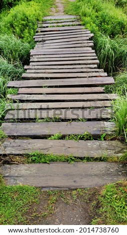Old Wooden Bridge. Rustic Boardwalk Laid Across Lush Across Swamp. Ecotourism. Natural Vivid Background With Wild Nature. Wallpaper