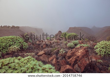 Red volcanic rocks of La Palma island in fog. Green desert plants grow on stones in the Canary Islands. Warm colors. Scenery, natural landscape. Looks like terraformed Mars, valley of the Mariner. Royalty-Free Stock Photo #2014758746