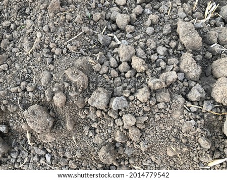 Dry soil texture top view. Loose black soil in the form of lumps. Brown soil texture with small lumps as a background. Dirt, soil chunk in fields for plants Royalty-Free Stock Photo #2014779542