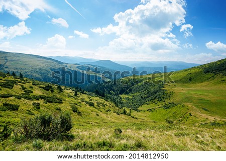 carpathian mountain landscape on a bright forenoon. beatiful scenery with green rolling hills beneath a fluffy clouds on a blue sky in summer. popular travel destination of chornohora ridge