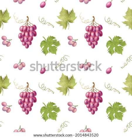 Seamless pattern of pink grapes and leaves, hand drawn illustration on white background