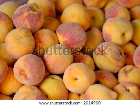 apricots color macro colour white summer fruit nature kitchen colourful season detail background scene natural yellow colorful food earth orange market gold artistic fresh health delicious healthy ric