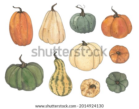 Watercolor pumpkin clipart, Fall thanksgiving clip art, Hand drawn autumn pastel farm green, orange, white, blue and red vegetable