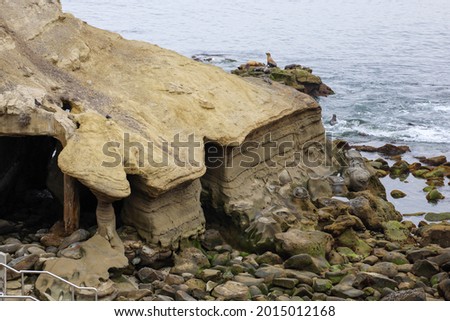 Caves, rocks and tidal erosion in La Jolla Cove in California. Seals and sea lions hang out place.