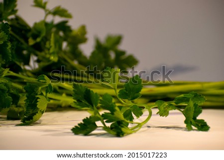 Picture of parsley in studio. Groceries. Product photography.
