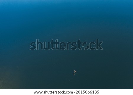 Man rest on sea waters, lie with legs and hands stretched out, top-down aerial shot. Beautiful green colour of tropical sea, calm cool water at morning hours.