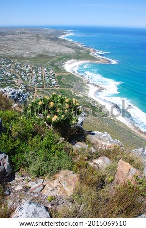 Beautiful view from the mountain over the coast of Scarborough, Western Cape, South Africa Royalty-Free Stock Photo #2015069510