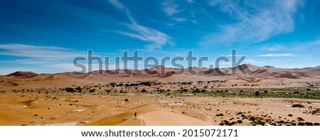 Panoramic view of dunes in Namibia Royalty-Free Stock Photo #2015072171
