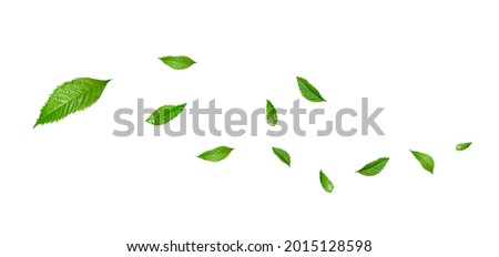 Green Floating Leaves Flying Leaves Green Leaf Dancing, Air Purifier Atmosphere Simple Main Picture	 Royalty-Free Stock Photo #2015128598