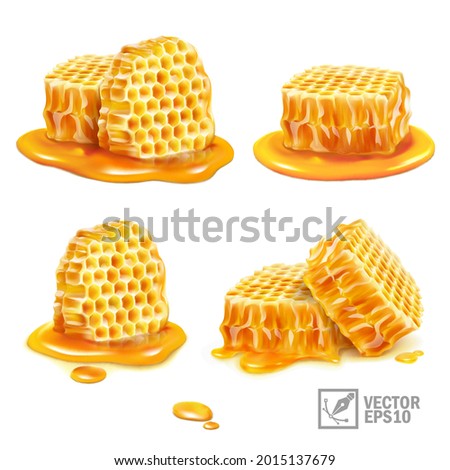 3d realistic isolated vector set with honey, honeycomb pieces in various versions Royalty-Free Stock Photo #2015137679